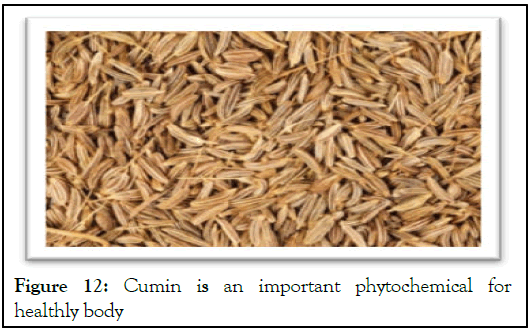 Cumin