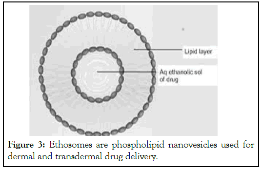 Ethosomes