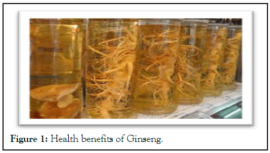 Ginseng