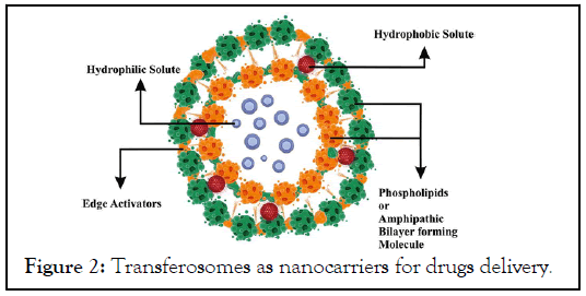 Transferosomes