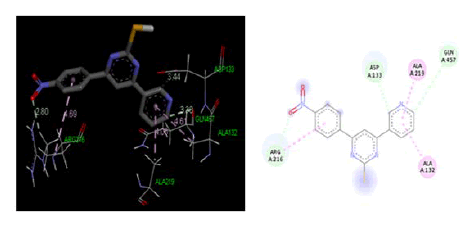 drug-binding