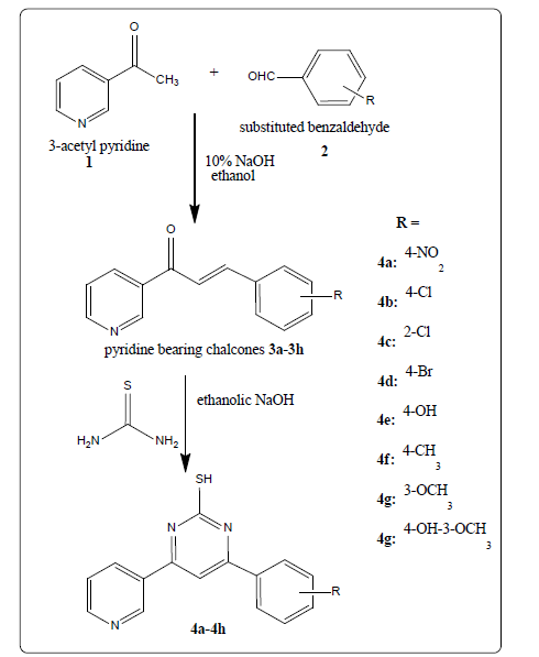 drug-chalcones