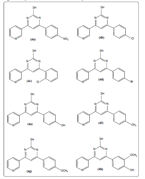 drug-library