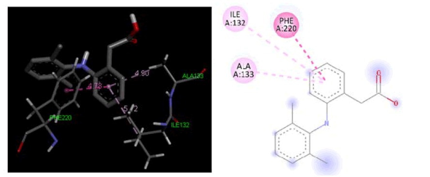 drug-ligand