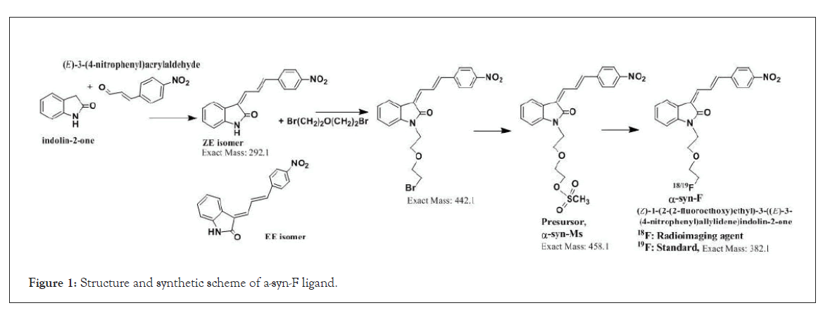 drug-metabolism-isomer