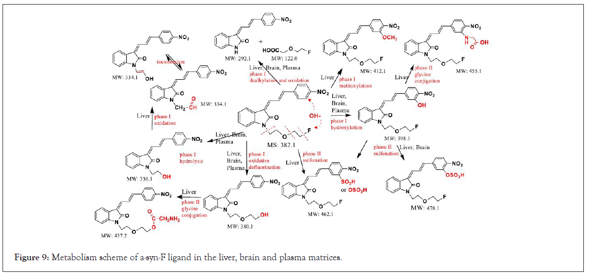 drug-metabolism-ligand