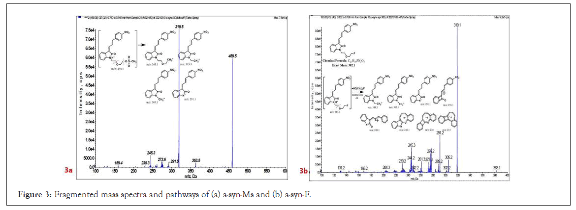 drug-metabolism-pathways