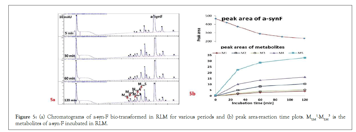 drug-metabolism-peak