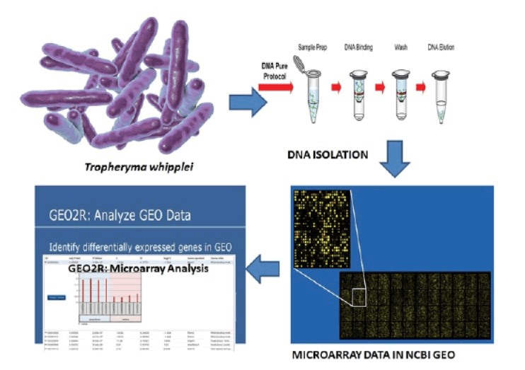 drug-microarray