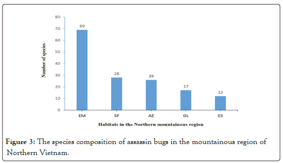 entomology-ornithology-bugs