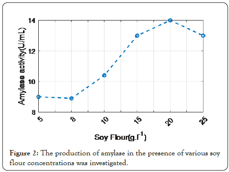 enzyme-engineering-amylase