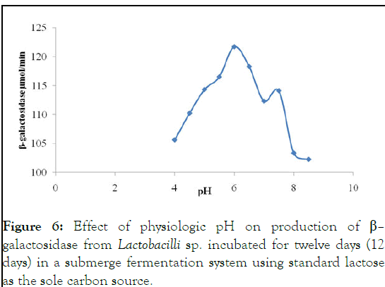 enzyme-fermentation