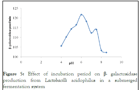 enzyme-lactobacilli