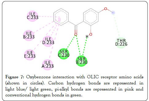 enzyme-oxybenzone