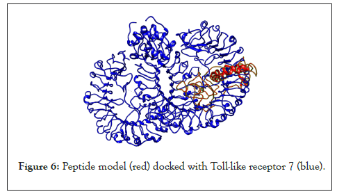 enzyme-peptide