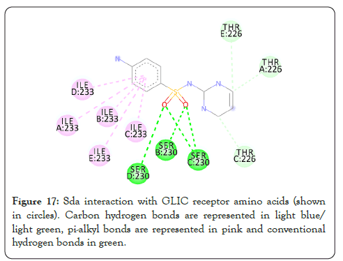 enzyme-sda