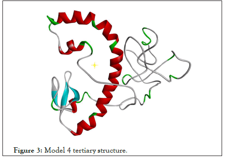 enzyme-structure