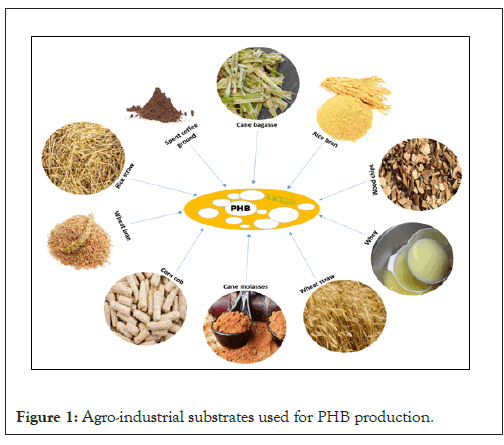 enzyme-substrates