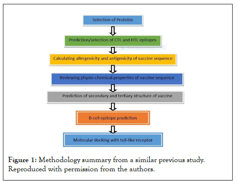 enzyme-summary