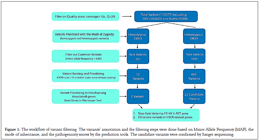 gastrointestinal-disorders-workflow-variant