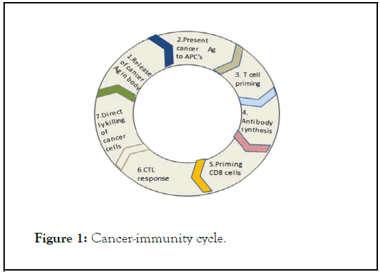 genetic-cycle