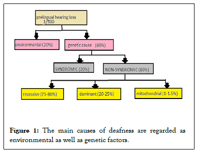 genetic-deafness