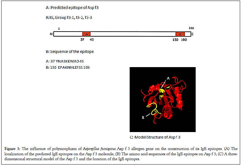 genomics-aspergillus