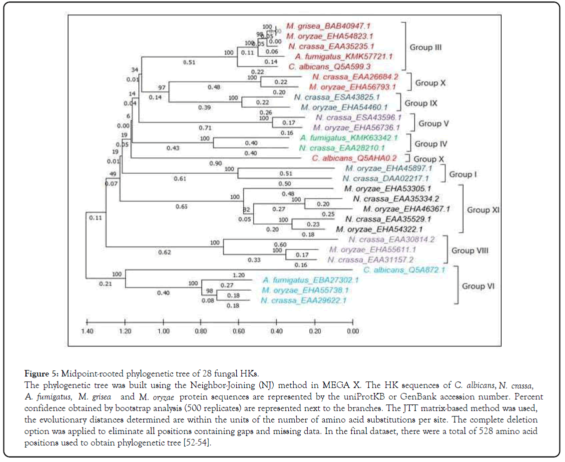 genomics-fungal