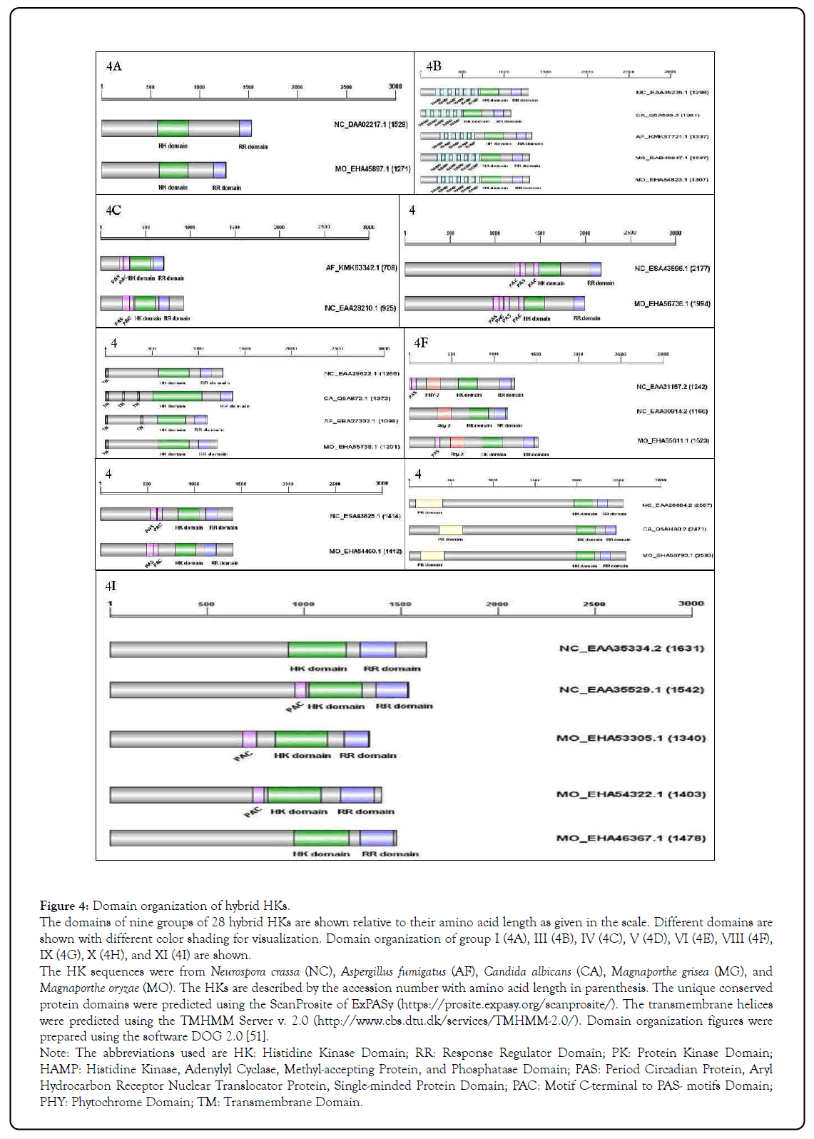 genomics-hybrid