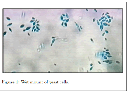 genomics-mount