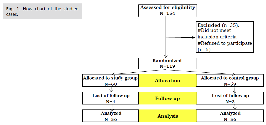 ginekologia-flow-chart