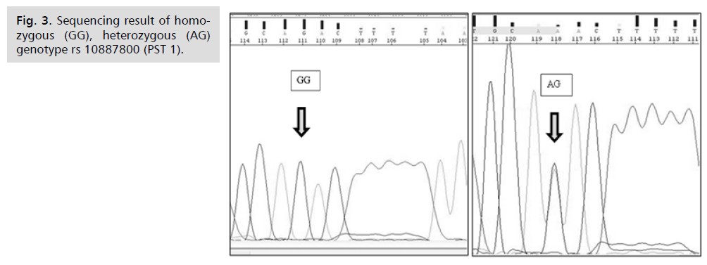 ginekologia-homozygous-heterozygous