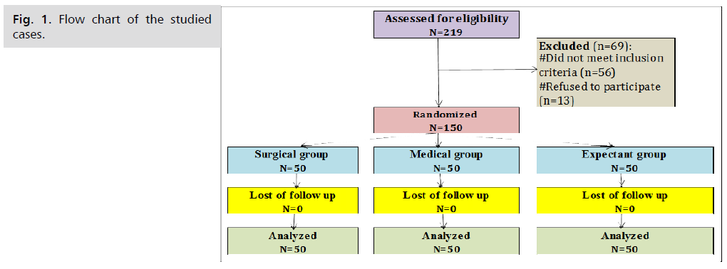 ginekologia-studied