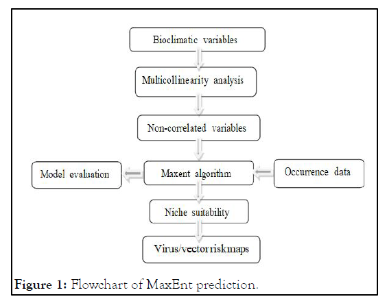 gynecology-antiphospholipid