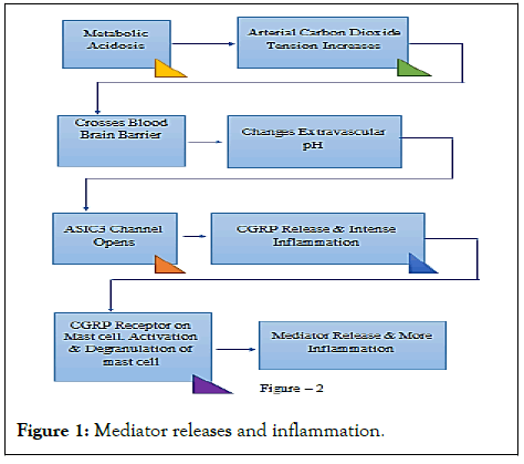 hepatology-mediator