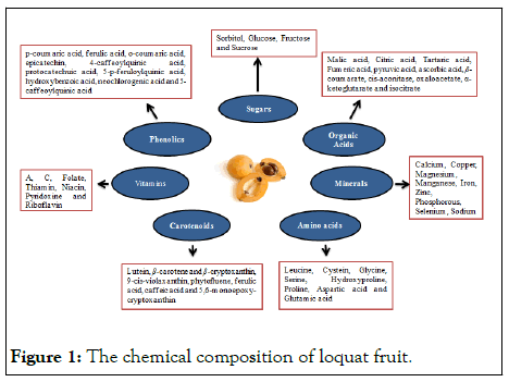 horticulture-composition