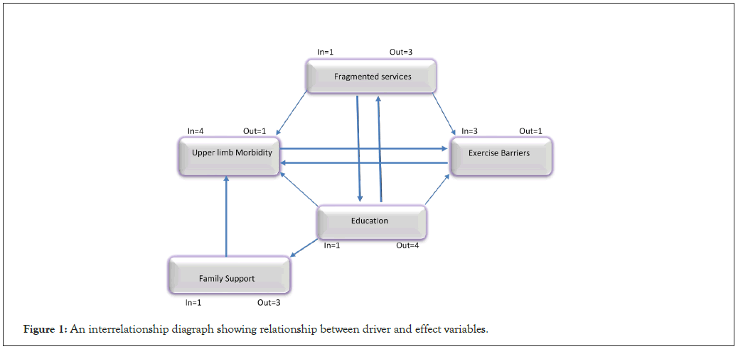 immuno-oncology-interrelationship-diagraph