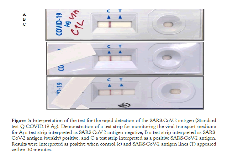 immunome-research-rapid-detection