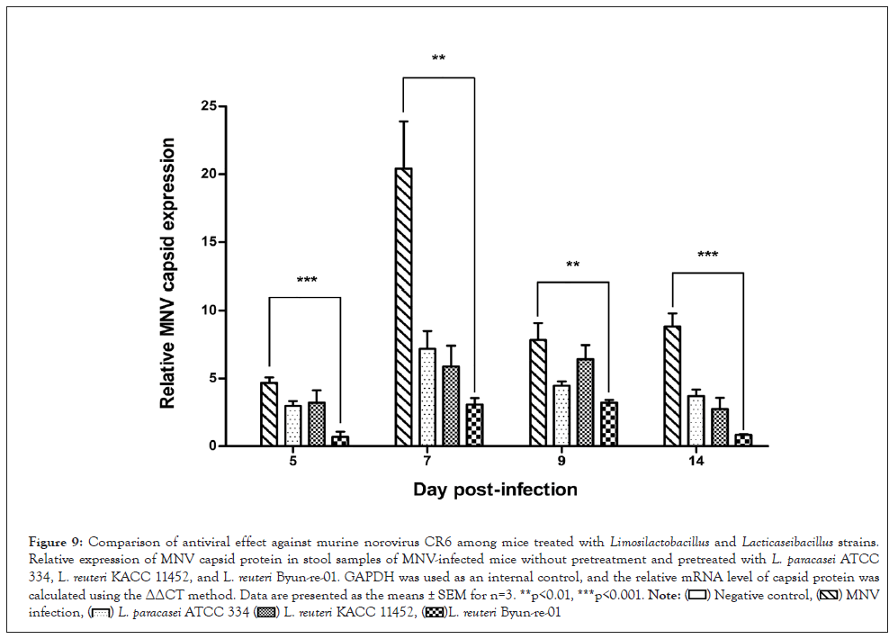 infectious-antiviral