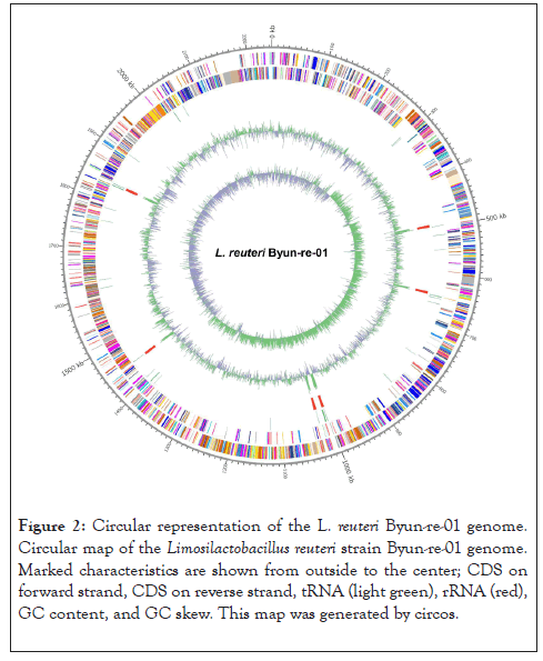 infectious-circular