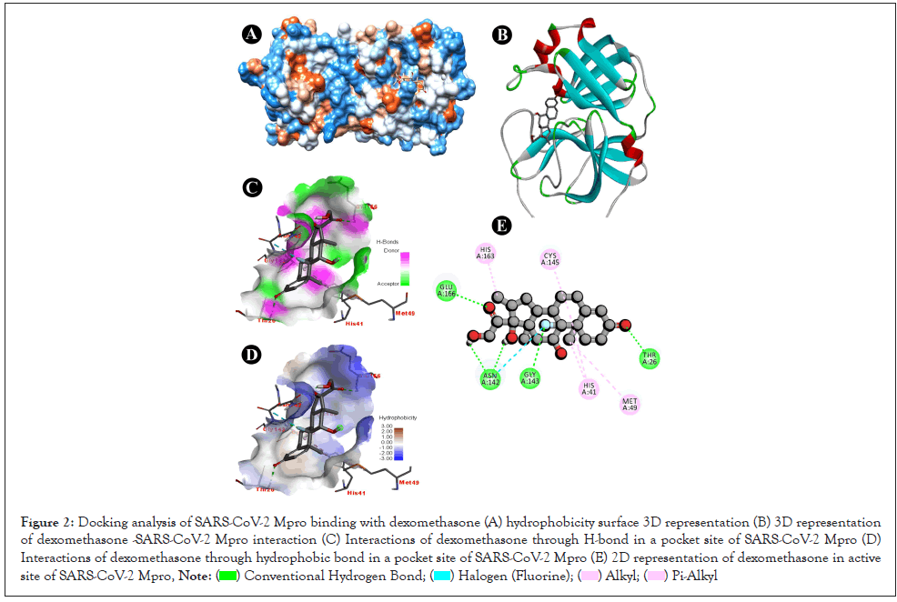 infectious-dexamethasone