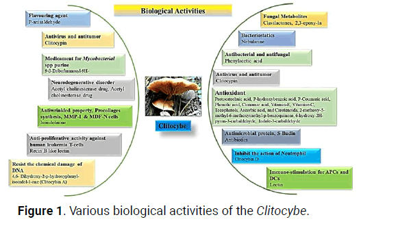 innovative-biological