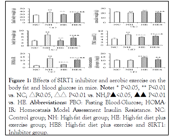 internal-medicines-aerobic