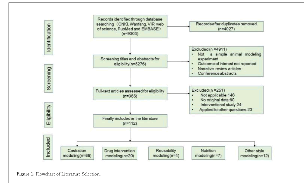 internal-medicines-literature