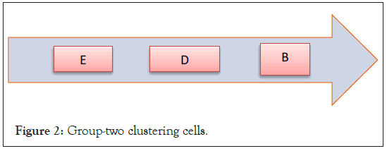 cells