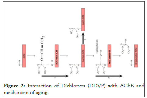 jct-Interaction