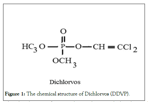 jct-structure