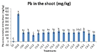 journal-plant-biochemistry-physiology