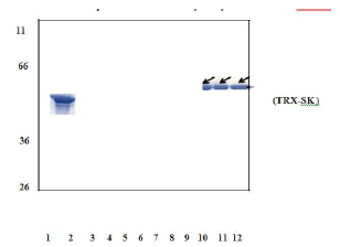 journal-research-analysis