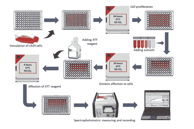 journal-research-assay